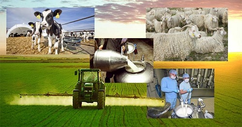 2018 yılında yapılacak tarımsal destekler belirlendi