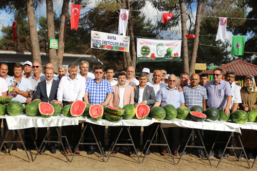 BAFRA’DA 17. KAVUN KARPUZ YARIŞMASI