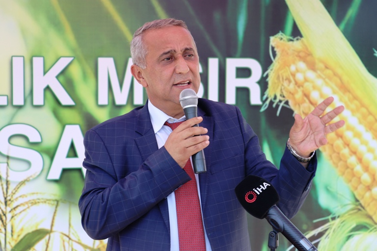 Bafra'da Slajlık Mısır Hasadı Etkinliği Yapıldı 