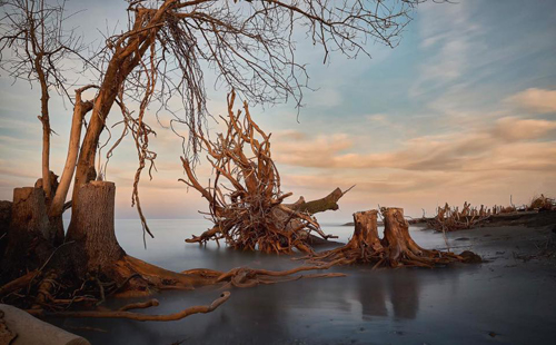 BAL GÖRSEL SANATLAR ÖĞRETMENİ HAKİME KÜÇÜK' E FOTOĞRAF ÖDÜLÜ