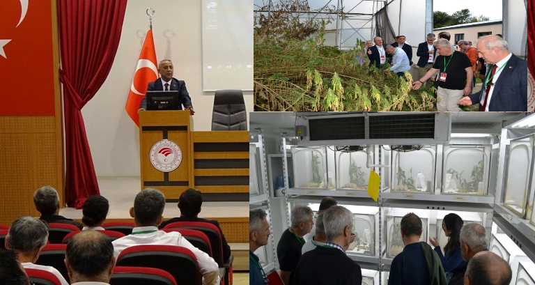  BİTKİSEL ÜRETİM VE BİTKİ SAĞLIĞI (BÜBS) GRUBU 2024 YILI 2. BÖLGE GRUP (BGT)    TOPLANTISI İLİMİZDE DÜZENLENDİ