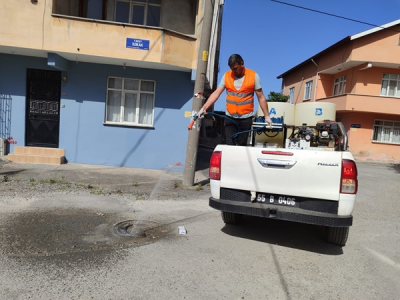 BAFRA BELEDİYESİ LARVA MÜCADELESİNE DEVAM EDİYOR