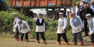 BAFRA OVASI’NDA “10. ÇELTİK EKİM GÜNÜ” 