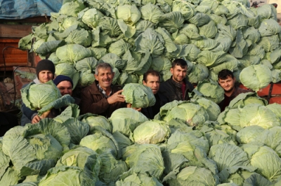 BAFRA'DA SEBZE ÜRETİCİLERİ PERİŞAN