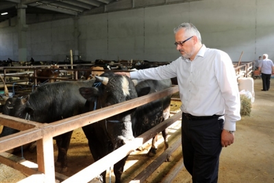 BAŞKAN KILIÇ CANLI HAYVAN PAZARINI ZİYARET ETTİ