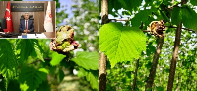 FINDIK KOZALAK AKARINDA MÜCADELE