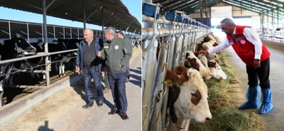 İl Müdürümüz İbrahim Sağlam, “Hastalıktan Ari İşletmelerin Avantajları”  Hakkında Bilgi Verdi