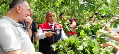 İlimiz 2024 Yılı Fındık Rekolte Tahmini Çalışmaları  Hız Kesmeden Devam Ediyor