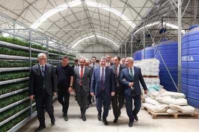 İzmir, Samsun’a meyve sebze sektöründe üretim ve ihracat koçluğu yapacak