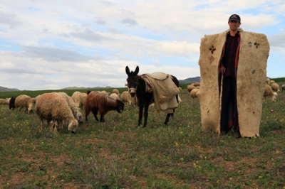 Küçükbaş Hayvan Yetiştiricilerine Çoban İstihdam Desteklemeleri Ödeniyor