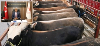 KURBANLIK HAYVAN SEVKLERİ İLE İLGİLİ KURALLAR