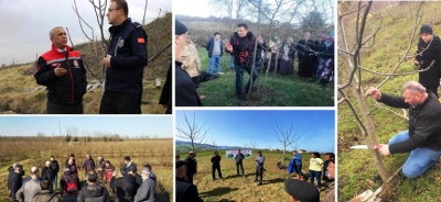 Meyvecilikte Budamanın Önemi ve  Budama Sonrası Dikkat Edilecek Hususlar