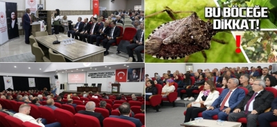 Samsun İli Fındık İlçelerinde, Kahverengi Kokarca Bilgilendirme Koordinasyon ve Eylem Planı Toplantısı Gerçekleştirildi