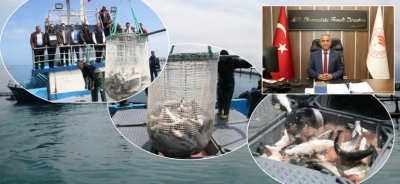 Samsun’da Su Ürünleri Yetiştiriciliğinde Verim ve Destekler Giderek Artıyor